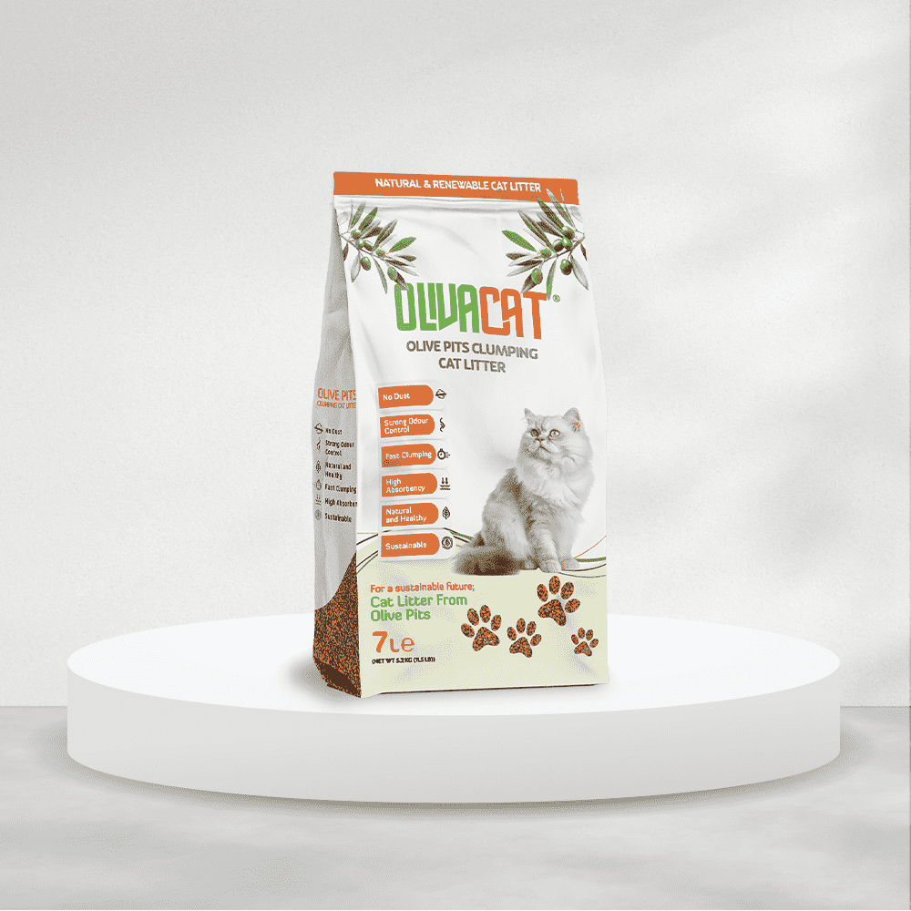 Olivacat